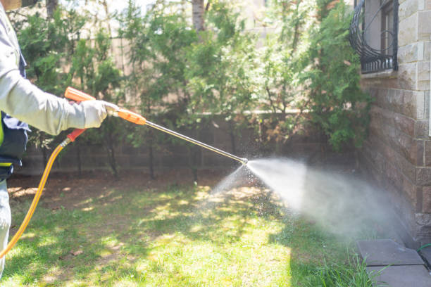 Best Mosquito Control Services  in Bowman, ND
