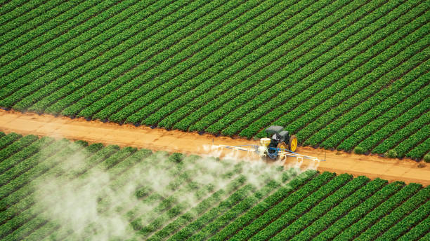 Best Pest Control Cost  in Bowman, ND