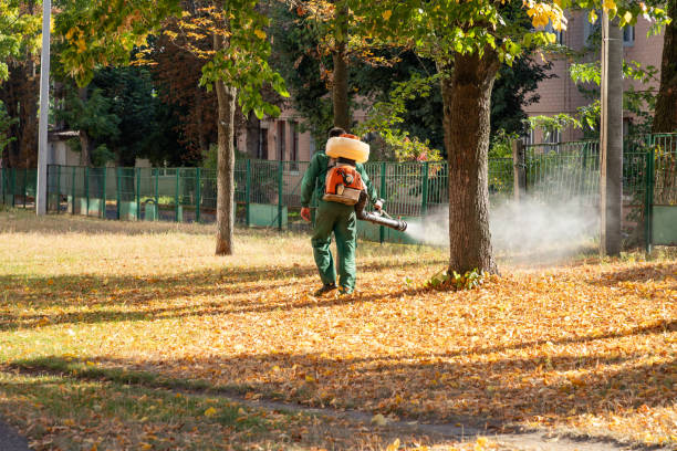 Pest Control Cost in Bowman, ND