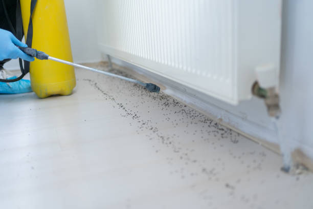 Best Pest Control Near Me  in Bowman, ND