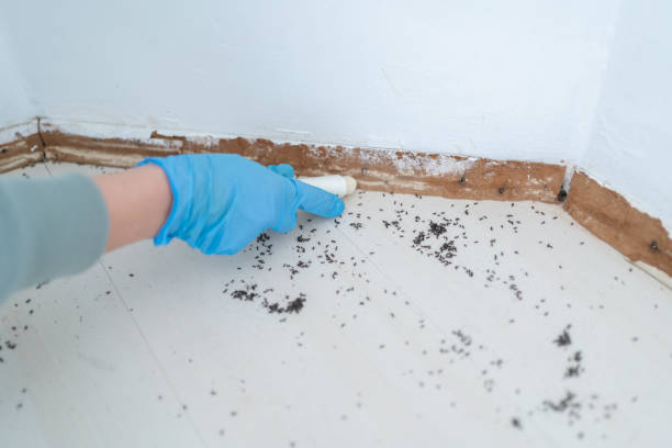 Wildlife Control Services in Bowman, ND
