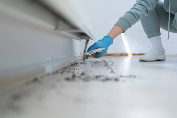 Best Residential Pest Control  in Bowman, ND