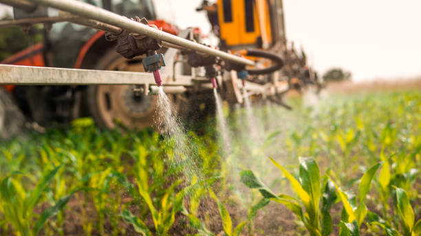 Best Pest Prevention Services  in Bowman, ND