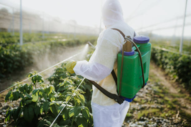 Best Emergency Pest Control  in Bowman, ND